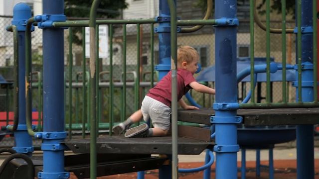 Nikon Z6 / Z7 REVIEW “One Year Later”...SORRY NIKON!!!