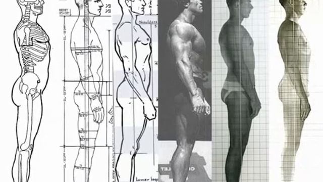 ПОЧЕМУ РАЗНАЯ ДЛИНА НОГ И РУК смотреть онлайн