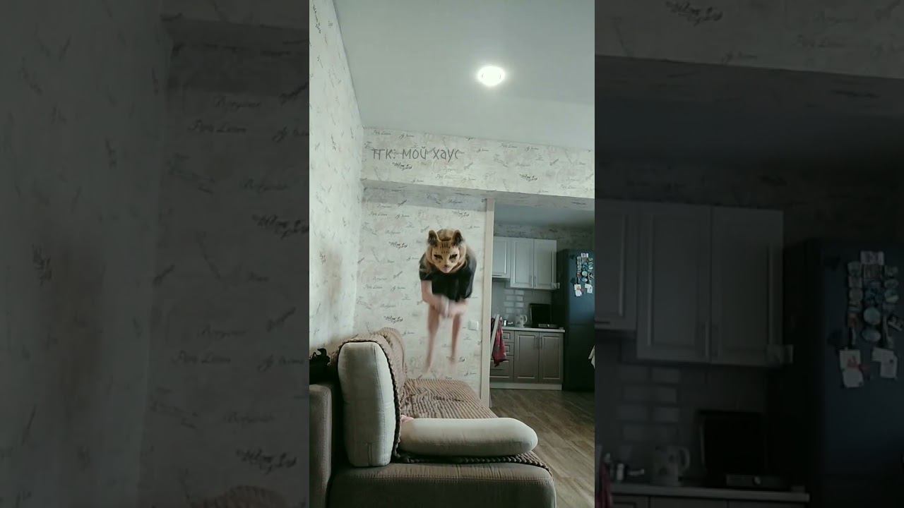 #edit #therian #quadrobics #квадробика #териан #териантропия #сервал #2024 #2023 #квтоп #обожаю смотреть онлайн