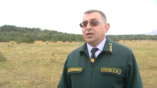 Сибирские леса обработают от шелкопряда смотреть онлайн