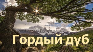 В суровых горах#гордый дуб#христианские песни