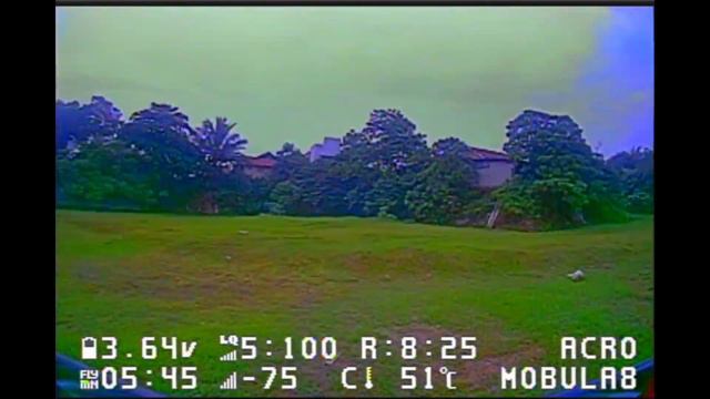 Happymodel Mobula8 ELRS 2s Analog Maiden Flight | Mobula 8 Elrs 1-2s