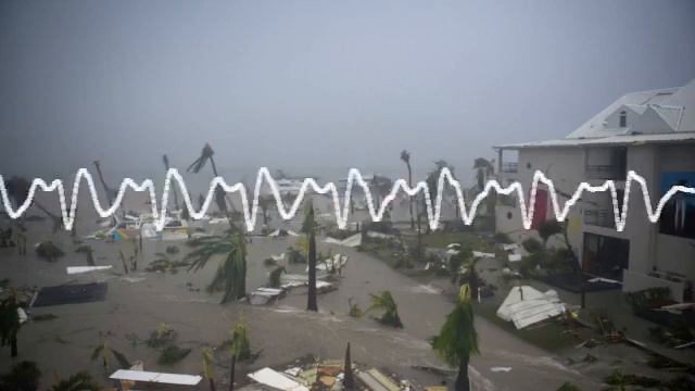 "Avant on avait la vue sur la mer des caraïbes, là il n'y a plus rien" смотреть онлайн
