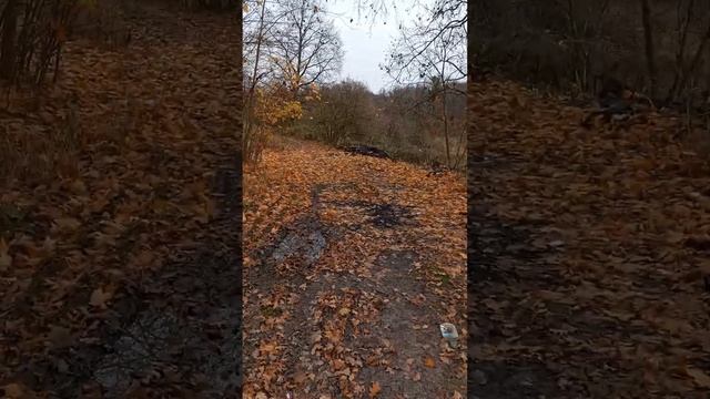 Заезд на первый участок. Участок 20 Га в Поддубном смотреть онлайн