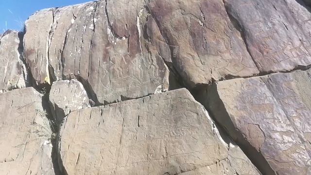 Алтай. Петроглифы. Урочище Калбак- Таш. Наскальные рисунки смотреть онлайн