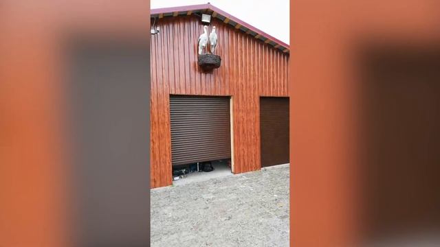 Рулонные ворота в гараж смотреть онлайн