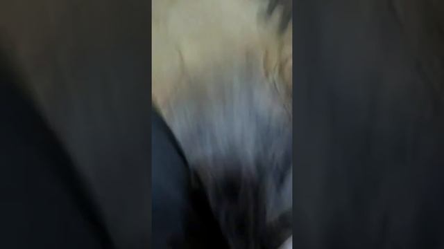 Мы маленькие звезды смотреть онлайн