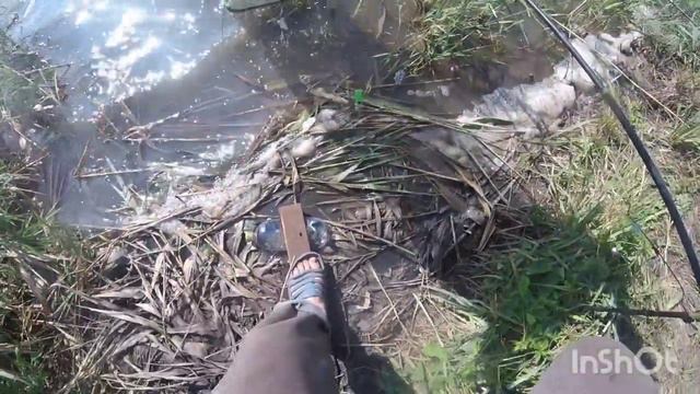 КАРП не лезет в подсак, рыбалка на реке смотреть онлайн