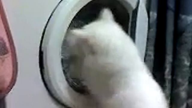 Томас стирает смотреть онлайн