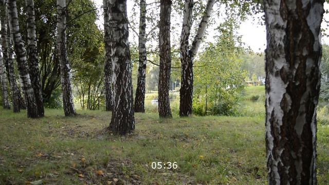 УШЛА ЖЕНА К ЦЫГАНУ - ПРЕДАТЕЛЬСТВО ЖЕНЫ. Интересные истории из жизни. Настоящие любовные истории смотреть онлайн