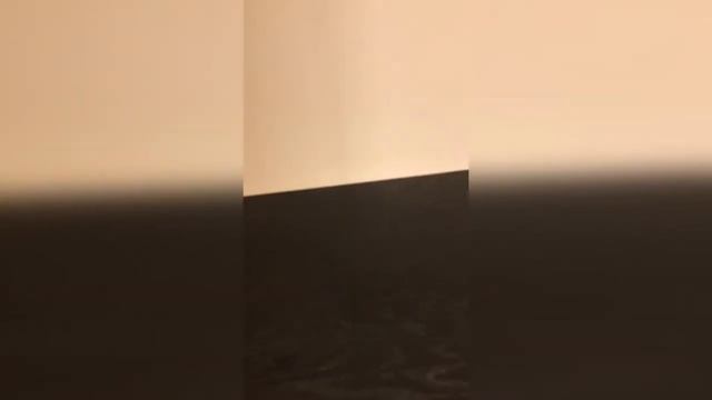 Видео консоль Татьянин Парк смотреть онлайн