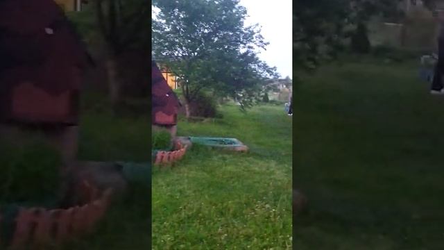 ДАЧА 2020 ГОД КОНЕЦ МАЯ смотреть онлайн