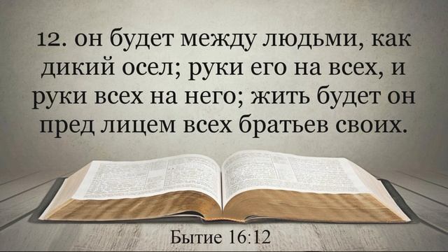 Лучшая Видео Библия. Чтение Бытие. Главы 15-17. Синодальный перевод смотреть онлайн
