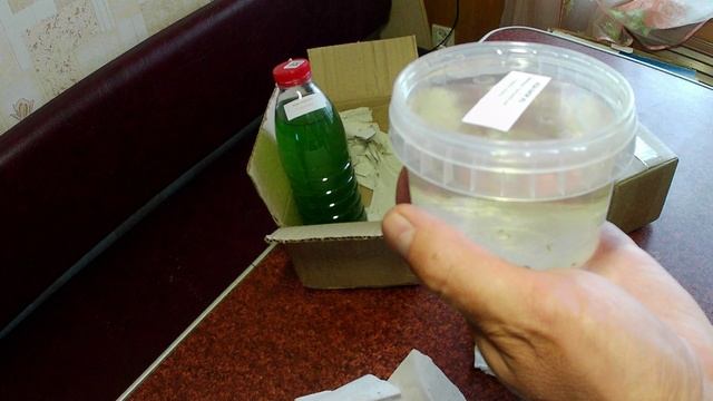 Тропический гаммарус(мормыш, бокоплав) и тетраселмис с доставкой по РФ. Отзыв о магазине aqa-shop.ru смотреть онлайн