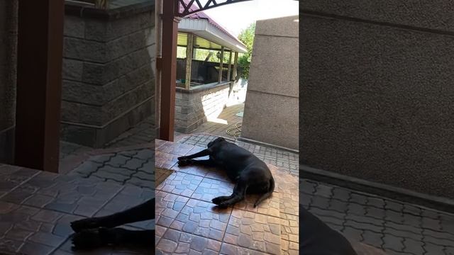 Дорожите счастьем дорожите!!  Э. Асадов.