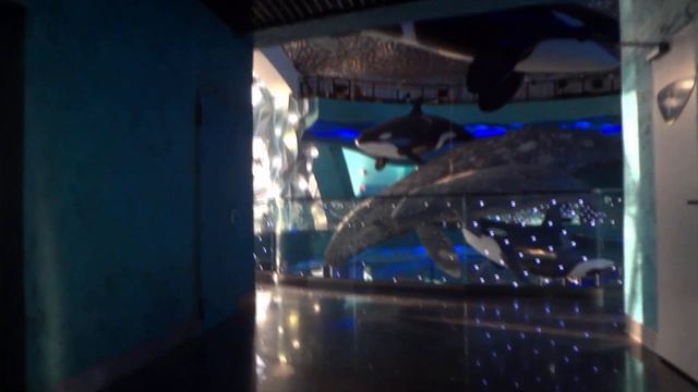 ВЛАДИВОСТОК.Бухты японского моря.Остров Русский+Океанариум. Золотой мост.Морепродукты.07-25.11.222г смотреть онлайн