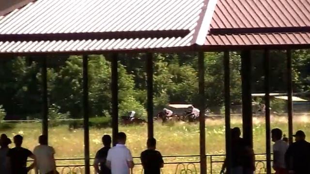 23.06.2020г. - 7 Скачка на Нальчикском ипподроме на лошадях ЧК породы 3 лет смотреть онлайн
