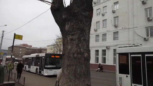 Ростов-на-Дону. Район Центрального рынка. Загадочное дерево. смотреть онлайн