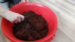 УЛИТКИ АХАТИНЫ. Меняем кокосовый субстрат. Генеральная уборка у улиток.