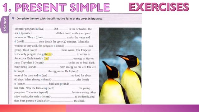 Study with me Unit 1 Present simple смотреть онлайн