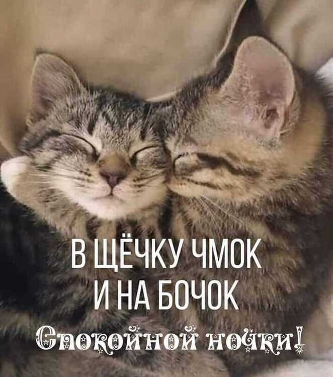 Доброй Ночи Сладких Снов! Открытка Спокойной Ночи смотреть онлайн
