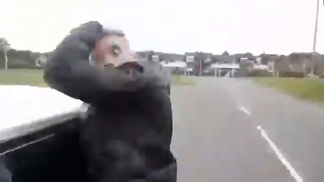 Сильно торкнуло смотреть онлайн