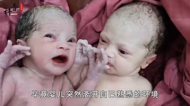 为啥婴儿刚出生就会哭个不停，是因为不开心吗？看完涨知识了 смотреть онлайн