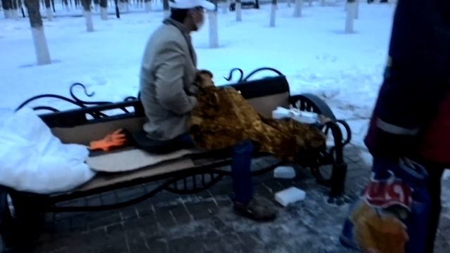 Мужчина спит в парке Астаны при минусовой температуре смотреть онлайн