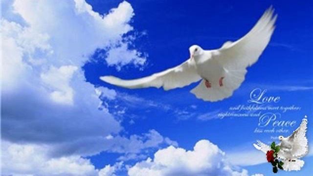 Очисти и омой от греха смотреть онлайн