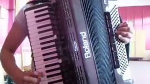 бэтута(Молдавская музыка) на аккордеоне