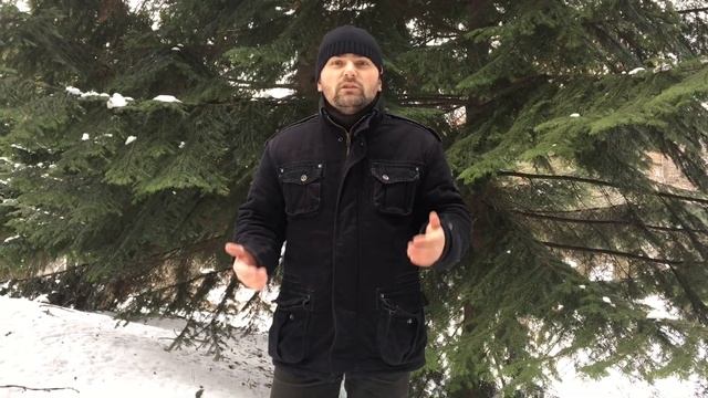 Когда запускать полив газона в новом сезоне смотреть онлайн