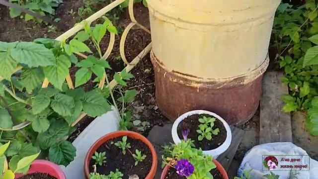 20 июня 2022г Обзор участка. смотреть онлайн