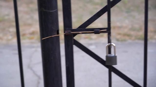 Спустя 100 лет наши свадебные фужеры ручной работы выглядят как новые / Ежедневный влог - Daily vlo смотреть онлайн