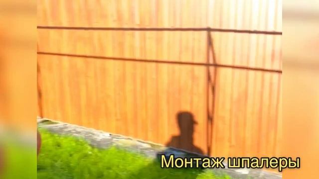 ШПАЛЕРА ДЛЯ МАЛИНЫ И ДРУГИХ РАСТЕНИЙ смотреть онлайн