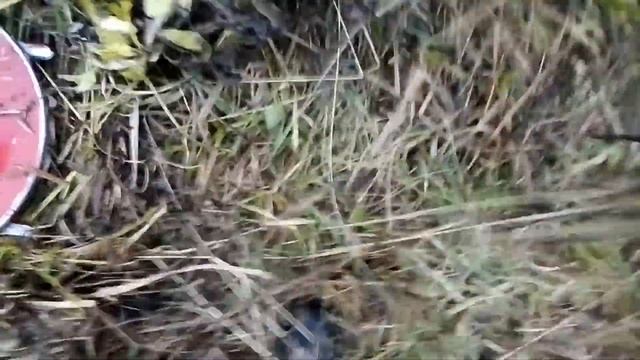 Мотоблок Агат с роторной касилкой смотреть онлайн