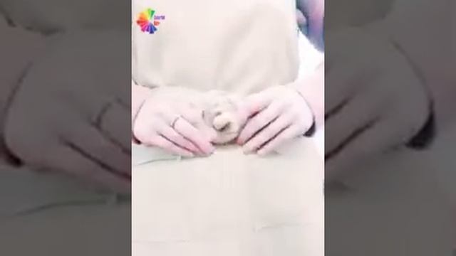 Руководство к Успеху