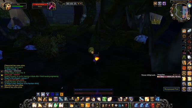 WOW CLASSIC PALADIN GOLD FARMING | 40 - 60G Per Hour! | Dire Maul East | Solo Lasher Farm смотреть онлайн