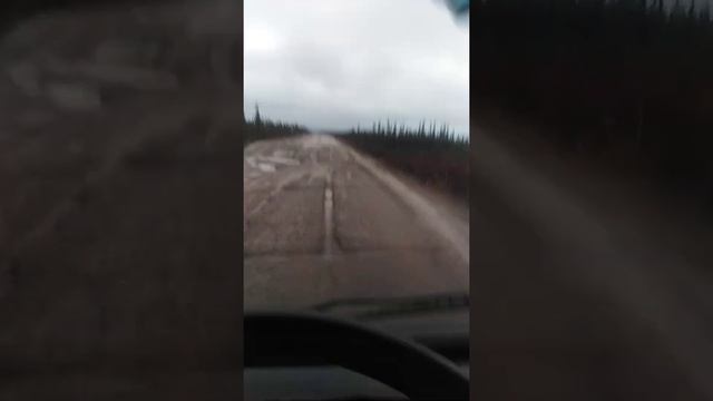 Харьяга 2 смотреть онлайн