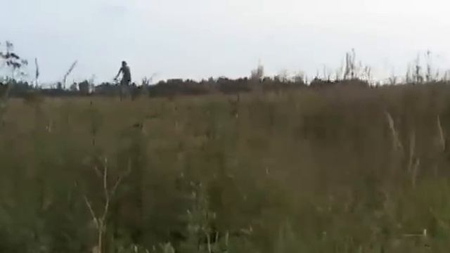 Димон Дима Димочка смотреть онлайн