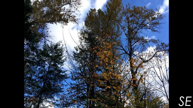 iPhone SE vs iPhone 7 - which should you buy? (2019 Comparison) смотреть онлайн