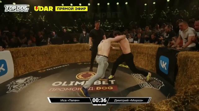 TOP DOG 13. Все бои! смотреть онлайн