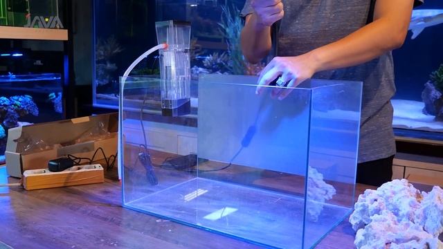 REEFTANK BEGINNER SETUP CUMA 1JUTAAN! смотреть онлайн