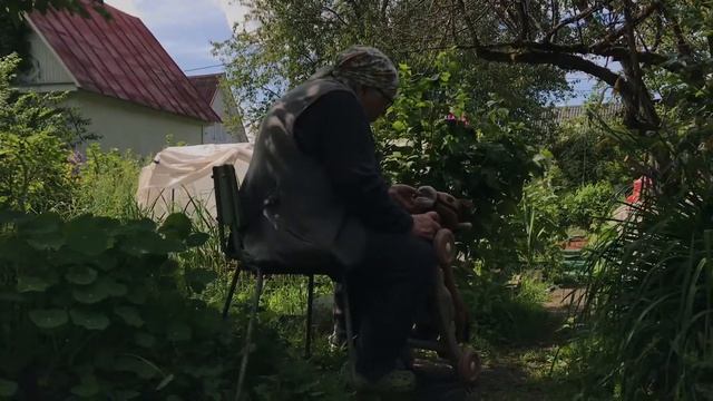Дареному коню в зубы не смотрят смотреть онлайн