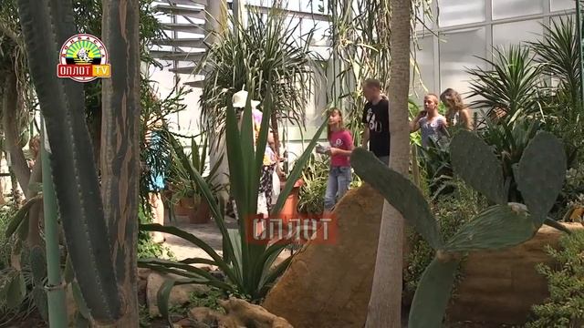 Праздник для детей военнослужащих смотреть онлайн