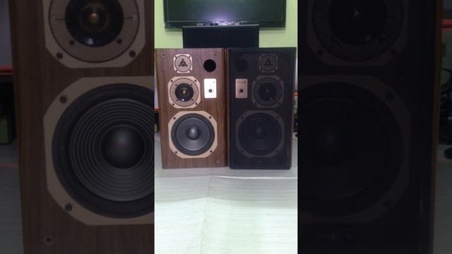 Loa Coral dx-3 смотреть онлайн