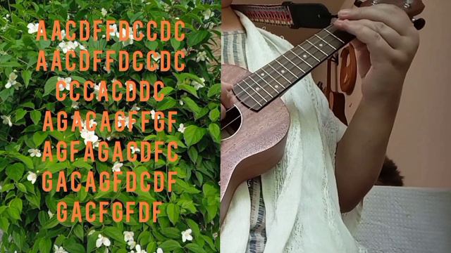 Jasmine Flower (Mo Li Hua) ukulele смотреть онлайн