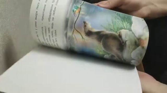 закупка сима Ленд, клевер, стиль жизни, джеко смотреть онлайн