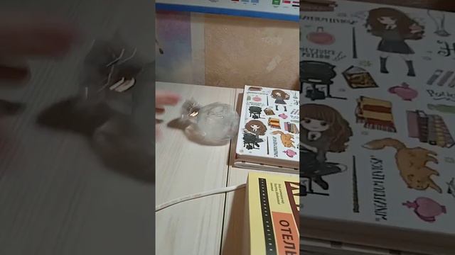 🌫🦙мой рабочий стол/полный обзор//🌸моя канцелярия для школы/что лежит в ящичках? смотреть онлайн