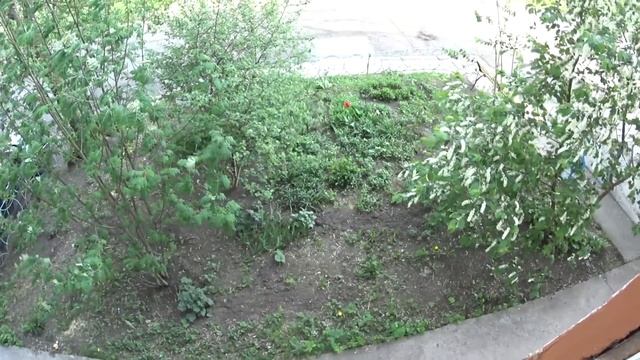 ДВА МЕСЯЦА СПУСТЯ, ЧТО ПОМЕНЯЛОСЬ У ЖЕНИ ?♂️ смотреть онлайн
