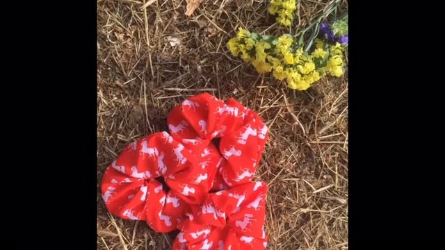 Как перевернуть фото на айфоне/айпаде ✨✌? смотреть онлайн